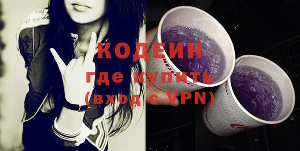 гашик Инта