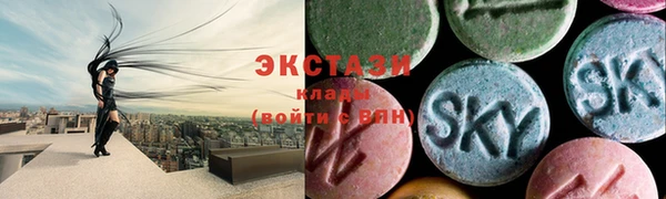 гашик Инта