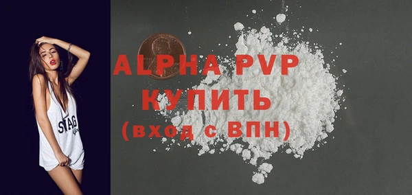 гашик Инта