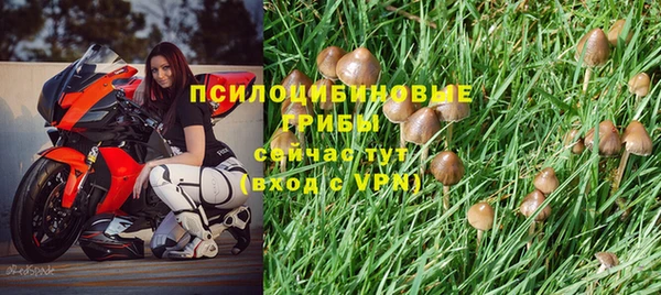гашик Инта