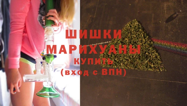 гашик Инта