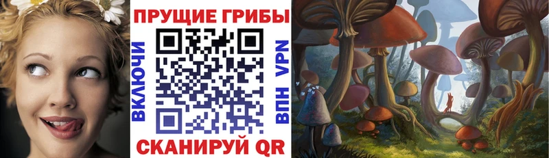 Галлюциногенные грибы мухоморы Купить где Зубцов